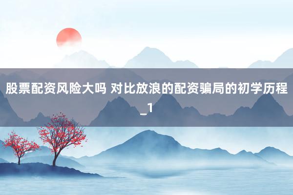 股票配资风险大吗 对比放浪的配资骗局的初学历程_1